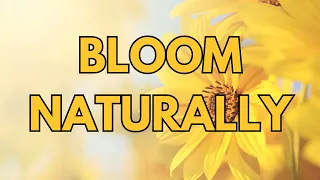 Allowing Meditation To Blossom Naturally - 15 minute Mindfulness Exercise