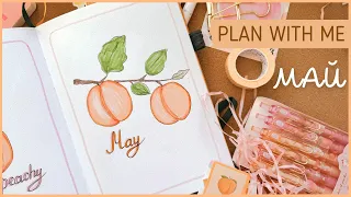 ЕЖЕДНЕВНИК МАЙ 2024 | BULLET JOURNAL | Буллет джорнал | Оформление ежедневника🍑