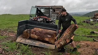 Holztransport mit Goldoni Traktor