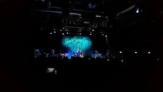 BLACK STONE CHERRY - Hoochie Coochie Man (live in Milan 27 nov.2018)