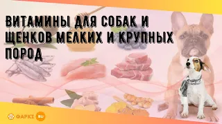 Витамины для собак и щенков мелких и крупных пород