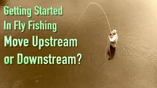 Getting Started in Fly Fishing: How Should We Move on the River - Upstream or Downstream?