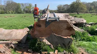 Can you saw a big log with a smaller chainsaw mill set up? Yes - but only with Panther Intersect.