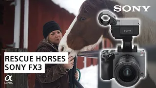 "Rescue Horses": A Short Film Shot with Sony FX3 | Sony Alpha Universe