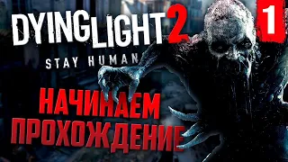 Стрим Dying Light 2: Stay Human💖► Часть 1 ► На Русском ► Дайн Лайт 2 СТРИМ