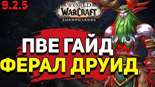 PvE гайд по Друиду «Сила зверя» в WoW Shadowlands 9.2.5