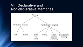 Cognition Lecture 5 1   Introduction to Longer Term Memories