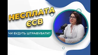 ЄДИНИЙ СОЦІАЛЬНИЙ ВНЕСОК: Що потрібно знати про ЄСВ? Що буде за несплату ЄСВ?