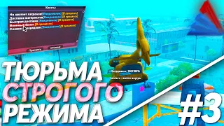 ПУТЬ До НАЧАЛЬНИКА ТЮРЬМЫ  - СКОЛЬКО МОЖНО ЗАРАБОТАТЬ на ARIZONA RP в GTA SAMP #3