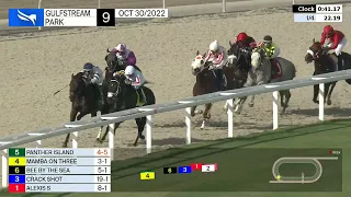 Gulfstream Park Carrera 9 - 30 de Octubre 2022