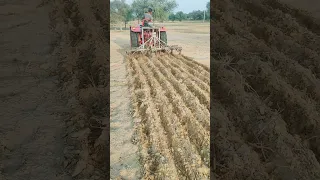 Fasal ki Bijai #Farmingtechnolodgy#shorts