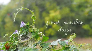 first october days :: silent vlog :: countryside :: seasonal living