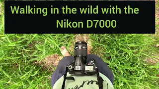 Walking in the wild with the Nikon D7000