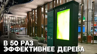 Фотобиореакторы для поглощения СО2 и выработки кислорода появились в Аргентине