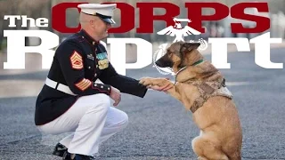 Lucca Receives Dickin Medal, Exercise Balikatan, Marines Grant Wish (The Corps Report Ep. 73)