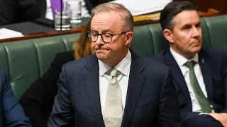 Albanese 'paying the price' as support for the Voice continues to sink in the polls