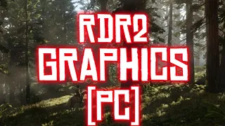 RDR2 PC Gameplay Graphics