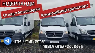 Огляд👀площадки. Авто з НІДЕРЛАНДІВ 🇳🇱  🚘🚘🚘 #Mercedes  #Sprinter