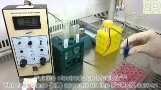 Protocol "TEER (Trans Epithelial Electrical Resistance) measurement" HD 720p - Epithelix