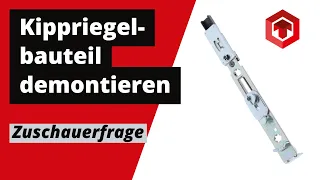 DEMONTAGE und MONTAGE KIPPRIEGELBAUTEL Fenster Ersatzteil Siegenia | Zuschauerfrage #ToniTec