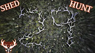 29 Sheds In One Day || Shed Hunting Untouched Land!