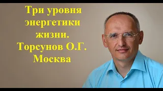 Три уровня энергетики жизни. Торсунов О.Г. Москва