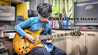 【John's Guitar】#9: Cantaloupe Island - Herbie Hancock (Guitar Solo)