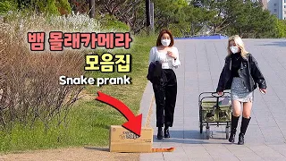 A collection of the best snake reactions🐍Everyone started running!!!! Haha