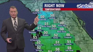 Breezy day across Tampa Bay | Jan. 8, 2024