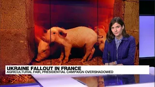 War in Ukraine overshadows Paris Agriculture Fair • FRANCE 24 English