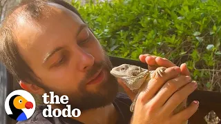 Bearded Dragon Helps His Dad Fix The TV | The Dodo