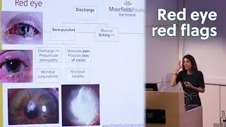 A guide to what needs to be referred into ophthalmology