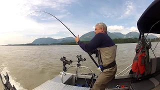 Ловля осетра Канада sturgeon fishing