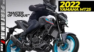 Detail Warna Baru Yamaha MT25 Versi 2022 Keren Abis Harga Terjangkau 🔥 Motor Terkencang Di Kelasnya