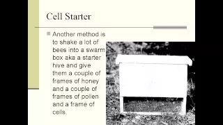 Overview of Queen Rearing by Michael Bush