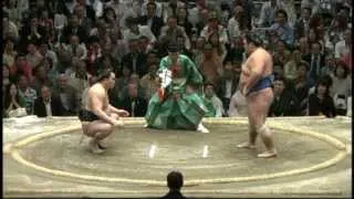 Harumafuji vs Kotoshogiku