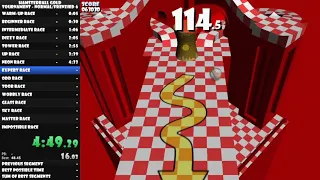 Hamsterball - Normal/Frenzied - All Unlock Pads, No Skips 12:48.2 (Former WR)