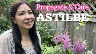 Mastering Astilbe Propagation and Care: Uncover the Secrets to a Lush Garden🏡