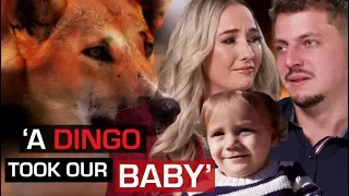 Wild dingo steals baby while parents sleep | 60 Minutes Australia