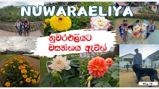 නුවරඑළියට වසන්තය ඇවිත් | Nuwaraeliya Sri Lanka | Little England #nuwaraeliya #gregory