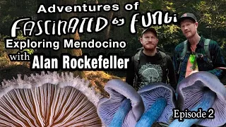 Adventures of Fascinated By Fungi: Exploring the Mendocino Coast with Alan Rockefeller (Episode 2)