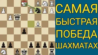 ГАРАНТИРОВАННАЯ ПОБЕДА В НАЧАЛЕ ПАРТИИ. Шахматы ловушки