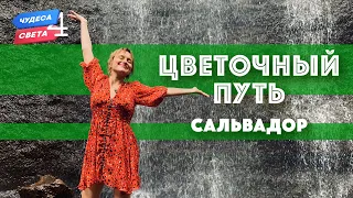 Цветочный путь, Сальвадор. Орёл и Решка. Чудеса света (eng, rus sub)