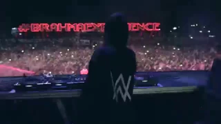 Alan Walker - Alone Concert (Live)