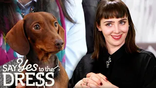 Bride Is Looking For A Dress That Shows Off Her Bum And Pleases Her Dog | Say Yes To The Dress UK