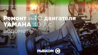 Ремонт и ТО двигателя YAMAHA 40 л.с. водомет