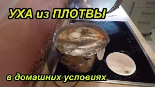 Уха из Плотвы. Рецепт приготовления блюда.