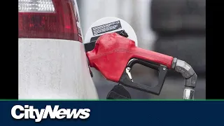 Business Report: Carbon tax rebate going up