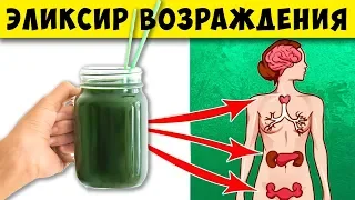 Вот что Спирулина Творит с вашим телом  если Пить её раз в День