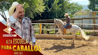 VICENTE FERNANDEZ LOS ENSEÑÓ ahora entrenan los mejores caballos